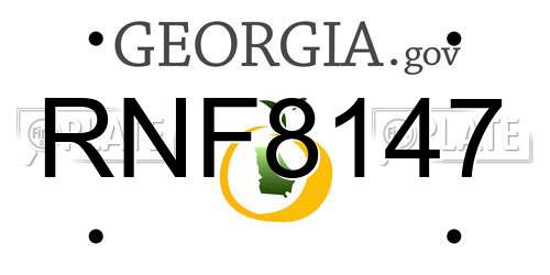 RNF8147 Georgia License Plate
