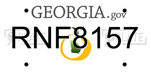 RNF8157 Georgia License Plate