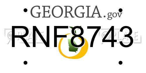 RNF8743 Georgia License Plate