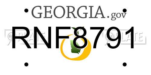 RNF8791 Georgia License Plate