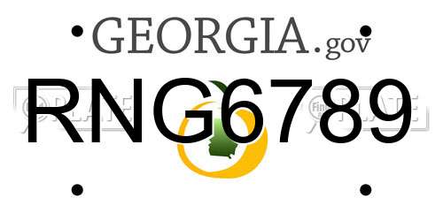 RNG6789 Georgia License Plate