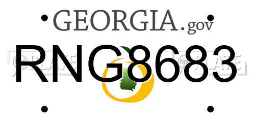 RNG8683 Georgia License Plate