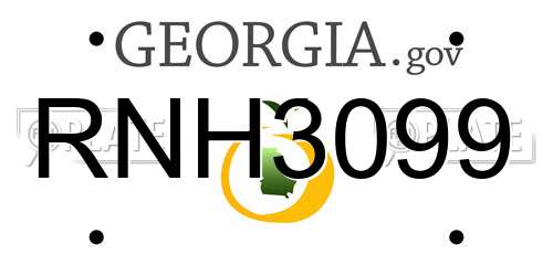 RNH3099 Georgia License Plate