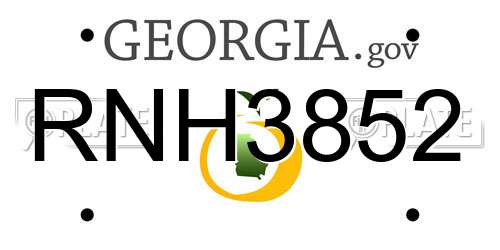 RNH3852 Georgia License Plate