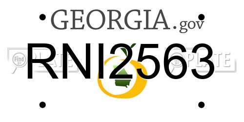 RNI2563 Georgia License Plate