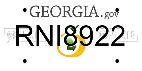 RNI8922 Georgia License Plate