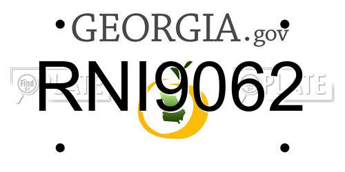 RNI9062 Georgia License Plate