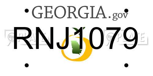 RNJ1079 Georgia License Plate