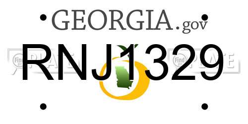 RNJ1329 Georgia License Plate