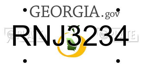 RNJ3234 Georgia License Plate