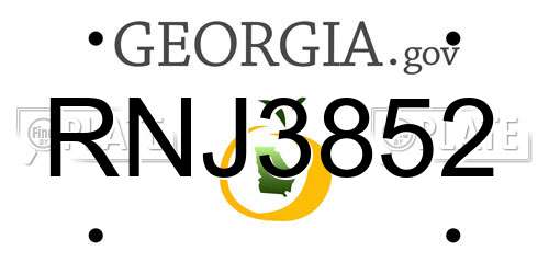 RNJ3852 Georgia License Plate