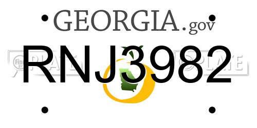 RNJ3982 Georgia License Plate