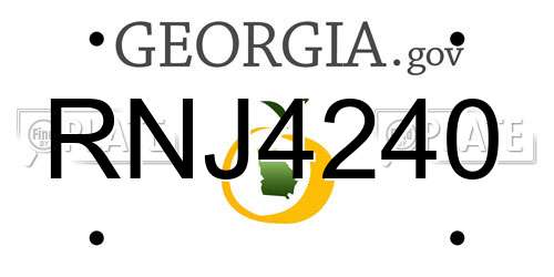 RNJ4240 Georgia License Plate