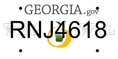 RNJ4618 Georgia License Plate