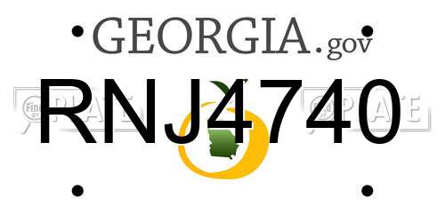 RNJ4740 Georgia License Plate