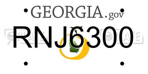 RNJ6300 Georgia License Plate