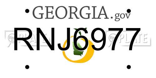 RNJ6977 Georgia License Plate