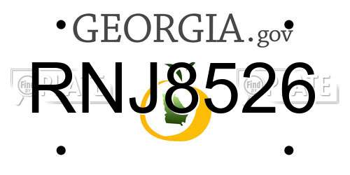 RNJ8526 Georgia License Plate