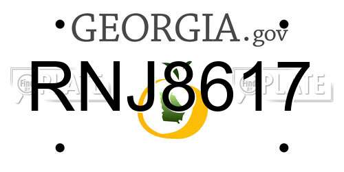 RNJ8617 Georgia License Plate