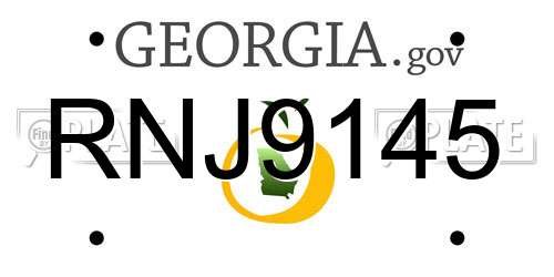 RNJ9145 Georgia License Plate