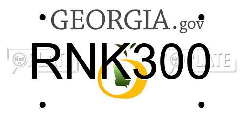RNK300 Georgia License Plate
