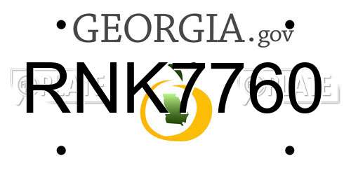 RNK7760 Georgia License Plate