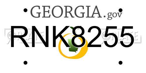 RNK8255 Georgia License Plate