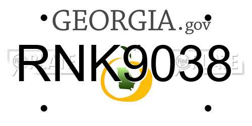 RNK9038 Georgia License Plate