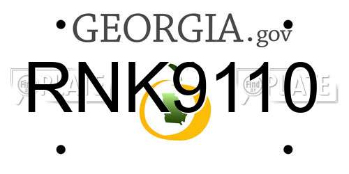 RNK9110 Georgia License Plate
