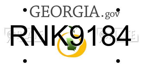 RNK9184 Georgia License Plate