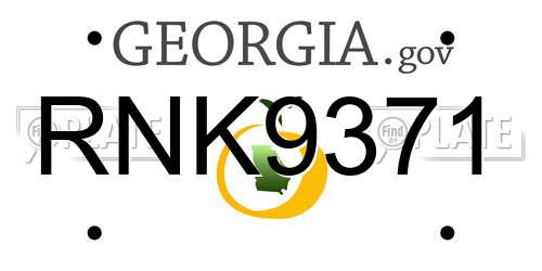 RNK9371 Georgia License Plate