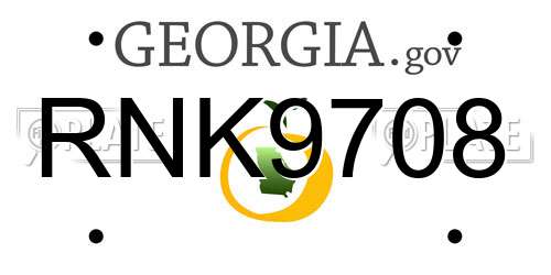 RNK9708 Georgia License Plate