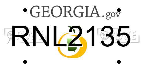 RNL2135 Georgia License Plate