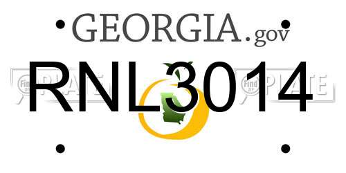 RNL3014 Georgia License Plate