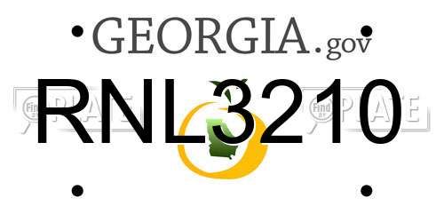 RNL3210 Georgia License Plate