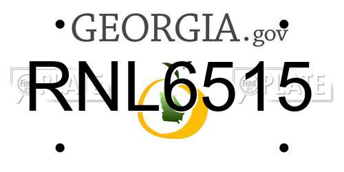 RNL6515 Georgia License Plate