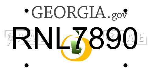 RNL7890 Georgia License Plate