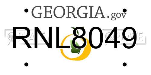 RNL8049 Georgia License Plate