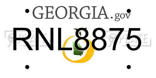 RNL8875 Georgia License Plate