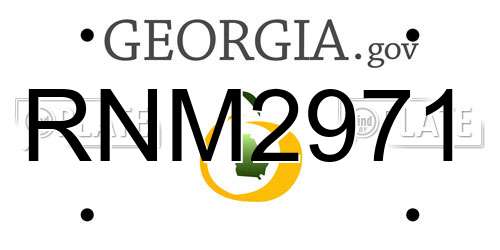 RNM2971 Georgia License Plate