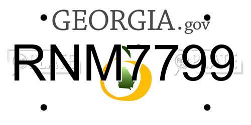 RNM7799 Georgia License Plate