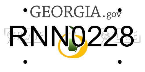 RNN0228 Georgia License Plate