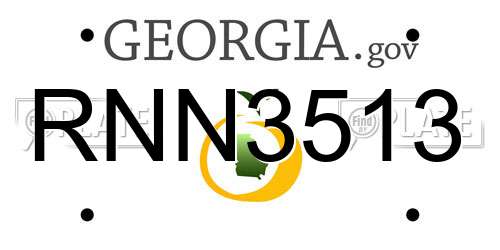 RNN3513 Georgia License Plate