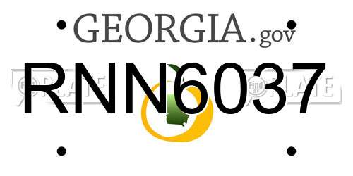 RNN6037 Georgia License Plate