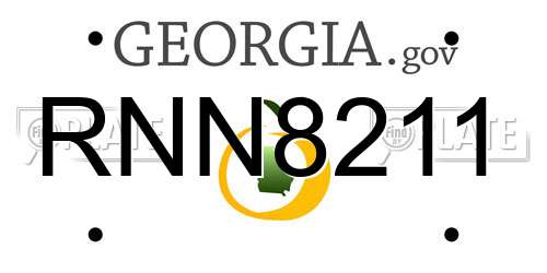 RNN8211 Georgia License Plate
