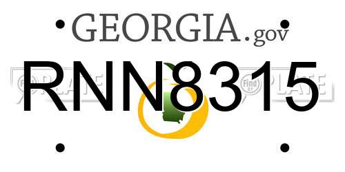 RNN8315 Georgia License Plate