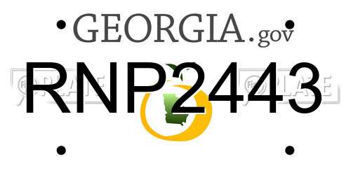 RNP2443 Georgia License Plate