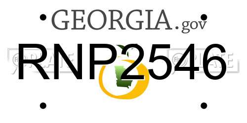 RNP2546 Georgia License Plate