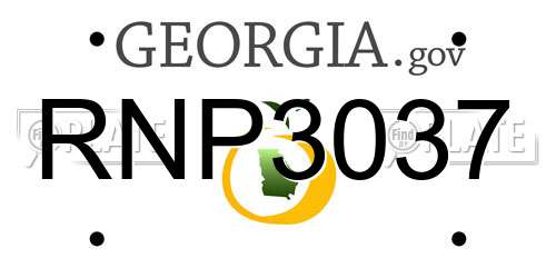 RNP3037 Georgia License Plate