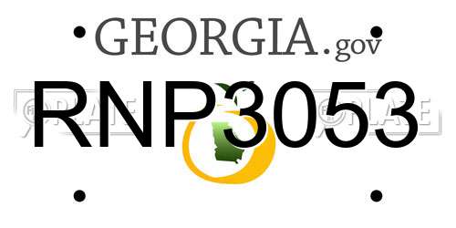 RNP3053 Georgia License Plate